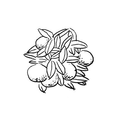 精选